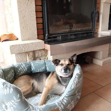 B&B Relais Equestre Du Miloir - D'hotes 3*