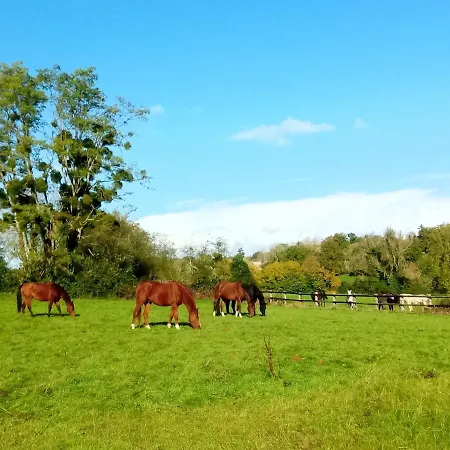 B&B Relais Equestre Du Miloir - D'hotes 3*