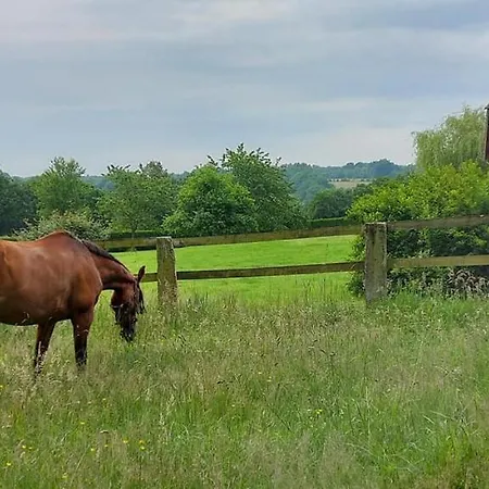 B&B Relais Equestre Du Miloir - D'hotes 3*