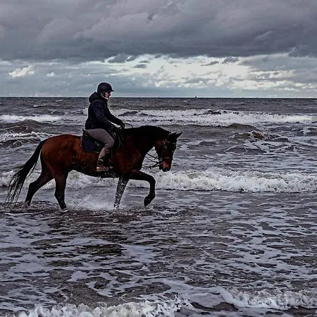 Relais Equestre Du Miloir - D'hotes 3* Saint-Desir