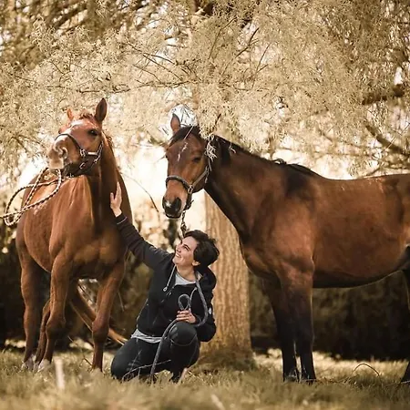 Relais Equestre Du Miloir - D'hotes