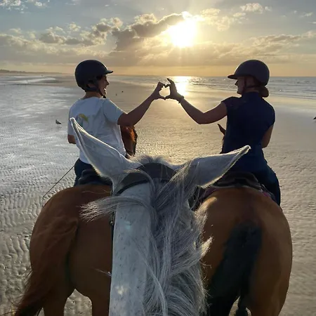 Relais Equestre Du Miloir - D'hotes 3*