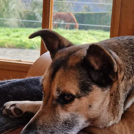 B&B Relais Equestre Du Miloir - D'hotes 3*