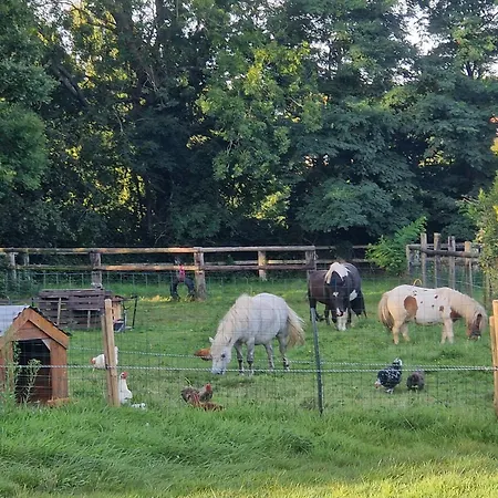 Relais Equestre Du Miloir - D'hotes 3* Saint-Desir