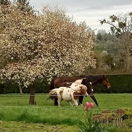 Relais Equestre Du Miloir - D'hotes B&B