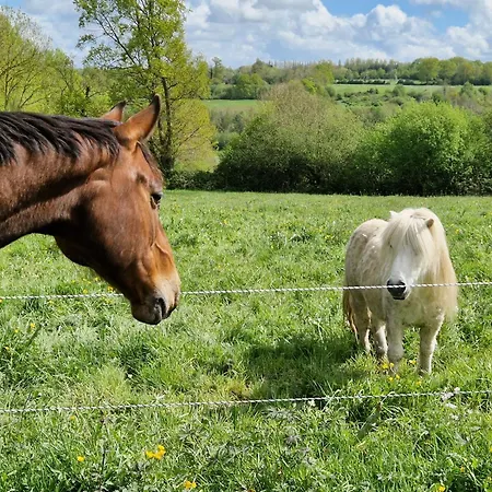 Relais Equestre Du Miloir - D'hotes B&B Saint-Desir