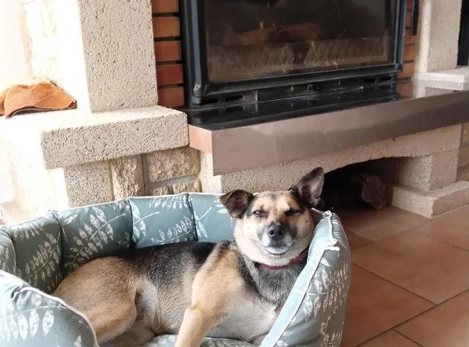 Bed & Breakfast Relais Equestre Du Miloir - D'hotes 3*