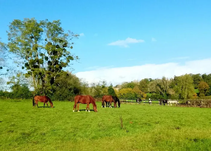 Bed & Breakfast Relais Equestre Du Miloir - D'hotes 3*