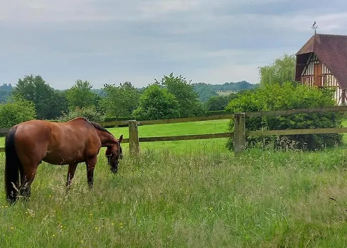 Bed & Breakfast Relais Equestre Du Miloir - D'hotes 3*