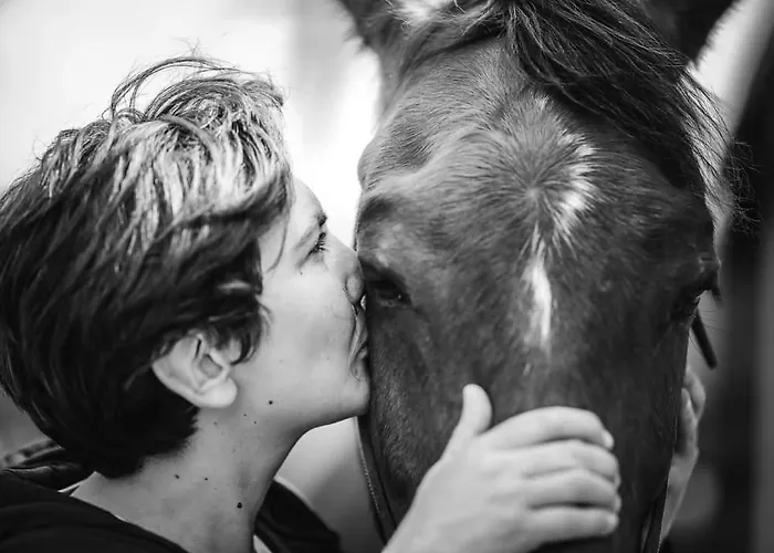 Relais Equestre Du Miloir - D'hotes Bed & Breakfast Saint-Desir