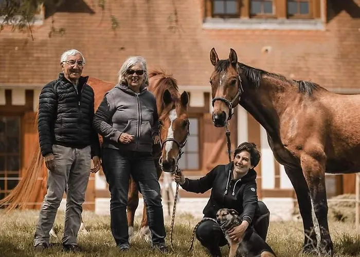 Bed & Breakfast Relais Equestre Du Miloir - D'hotes Saint-Desir