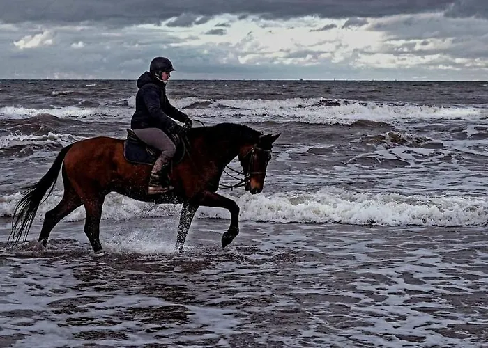 Relais Equestre Du Miloir - D'hotes 3* Saint-Desir