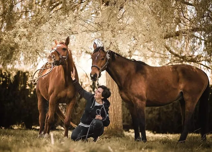Relais Equestre Du Miloir - D'hotes