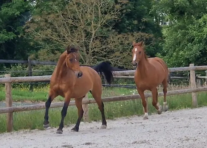 Bed & Breakfast Relais Equestre Du Miloir - D'hotes Saint-Desir