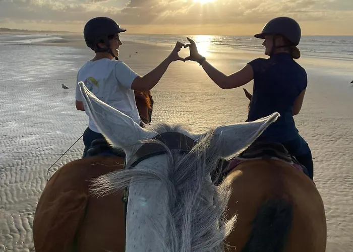 Relais Equestre Du Miloir - D'hotes 3*