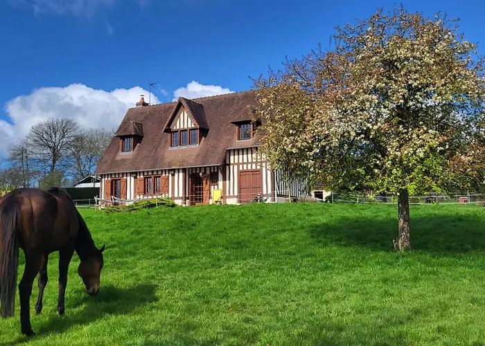 Bed & Breakfast Relais Equestre Du Miloir - D'hotes