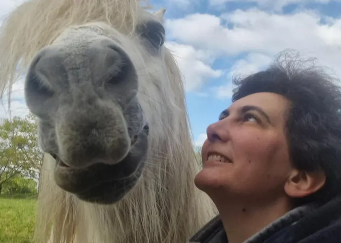 Relais Equestre Du Miloir - D'hotes Bed & Breakfast 3*