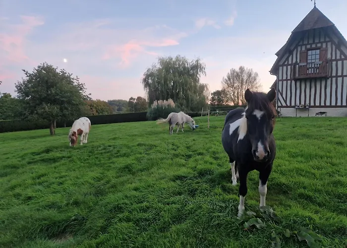 Relais Equestre Du Miloir - D'hotes 3*