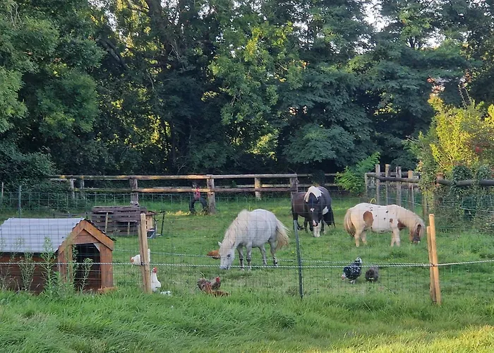 Relais Equestre Du Miloir - D'hotes 3* Saint-Desir