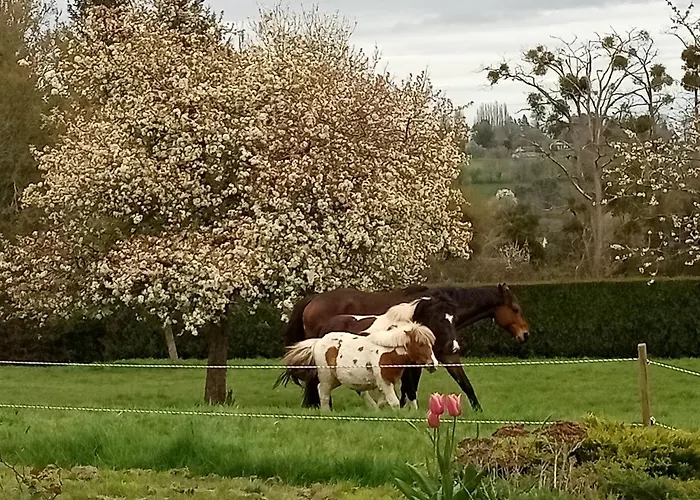 Relais Equestre Du Miloir - D'hotes Bed & Breakfast
