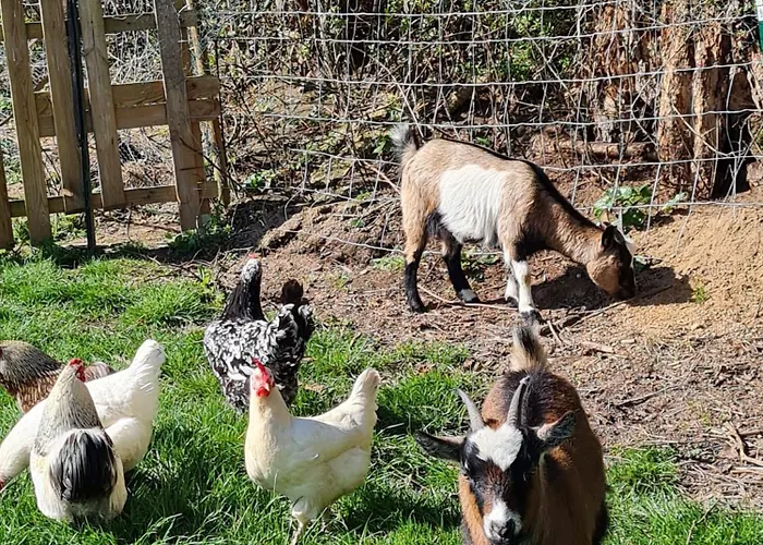 Bed & Breakfast Relais Equestre Du Miloir - D'hotes