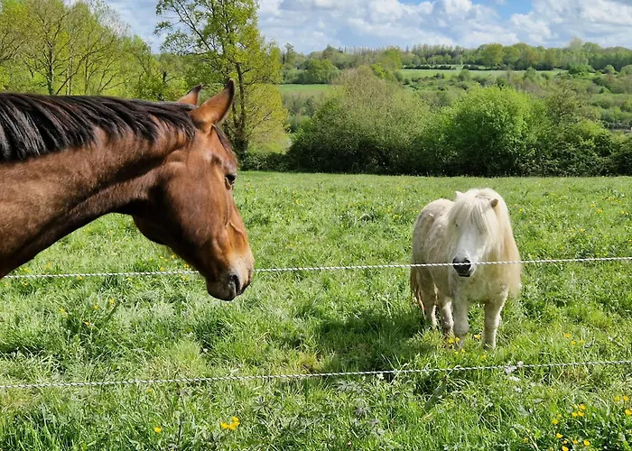 Relais Equestre Du Miloir - D'hotes Bed & Breakfast Saint-Desir